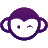 jammymonkey.com-logo